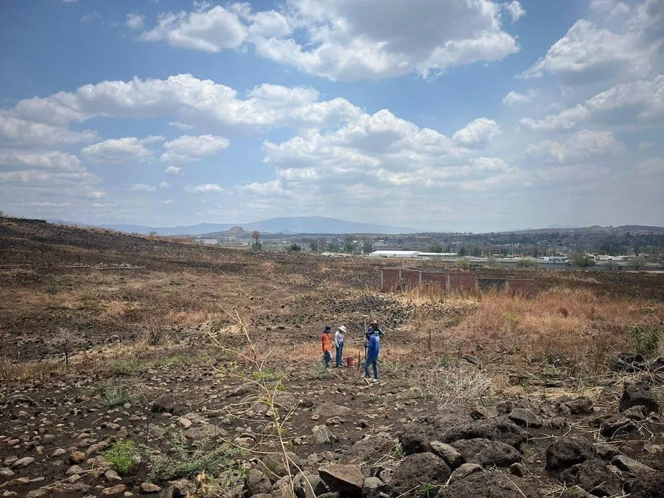 Foto 2 de OPORTUNIDAD Terreno Habitacional de 377 m² en Tonalá