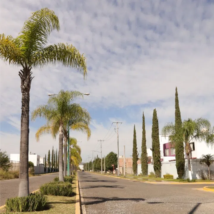 Foto 3 de TERRENOS RESIDENCIALES EN PREVENTA EN VALLE DE LAS FLORES | SUR DE GUADALAJARA