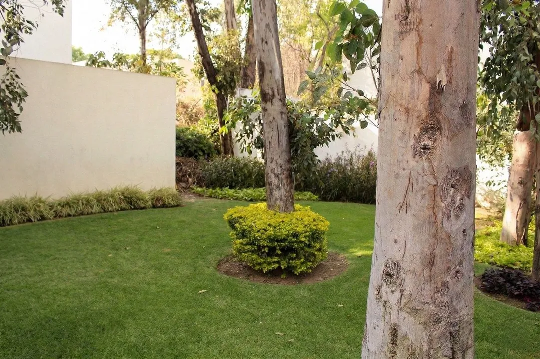 Foto 4 de Casa en venta Romeral