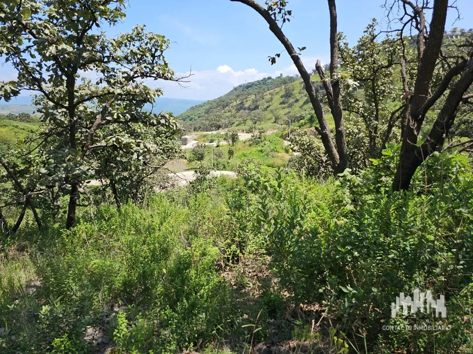 Foto 3 de Terreno en venta en Avenida Bosque de San Isidro Norte, Bosques de San Isidro, Zapopan