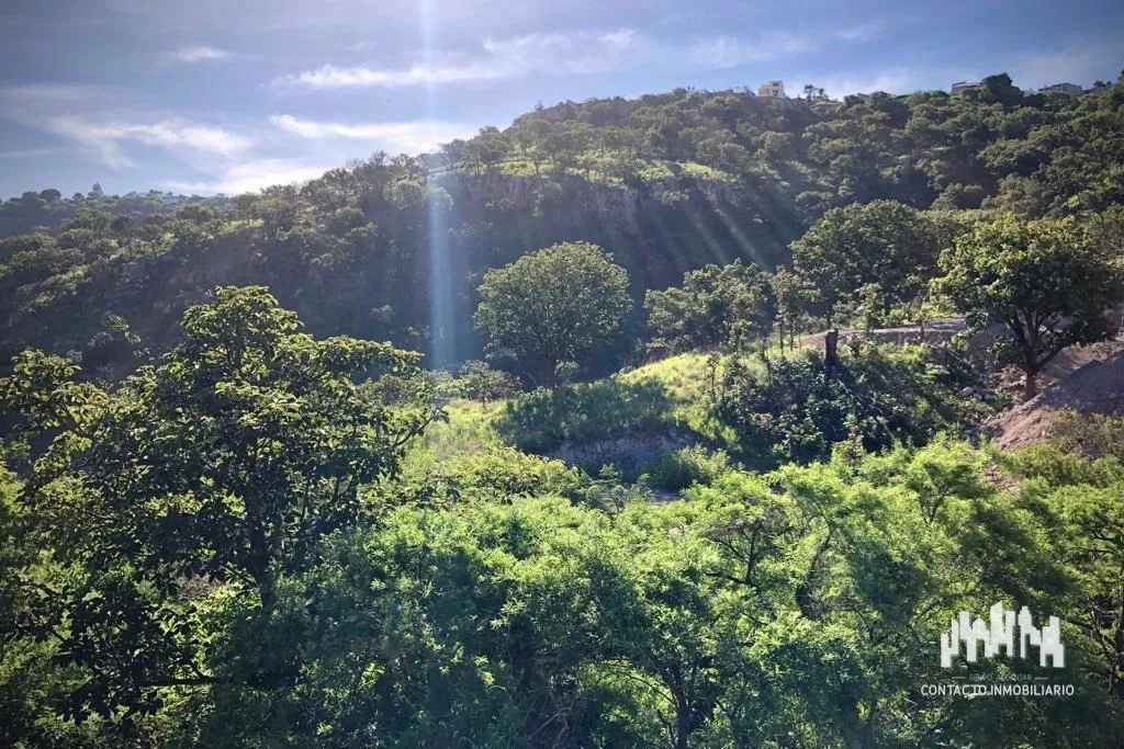 Foto 6 de Terreno en venta en Avenida Bosque de San Isidro Norte, Bosques de San Isidro, Zapopan