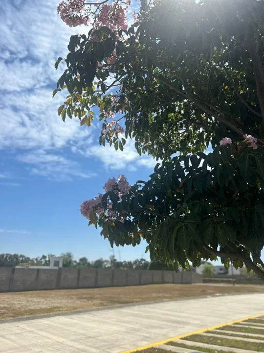 Foto 6 de Terrenos en Parque Metropolitano