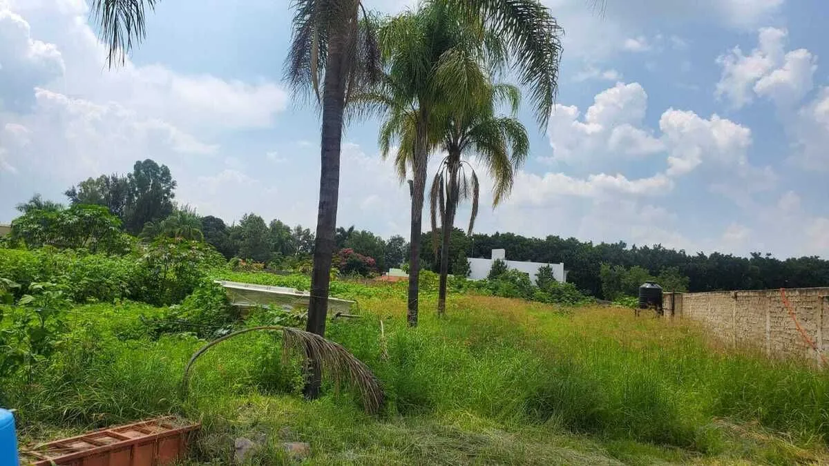 Foto 5 de TERRENO EN RETNA LA HUERTA COLORADA