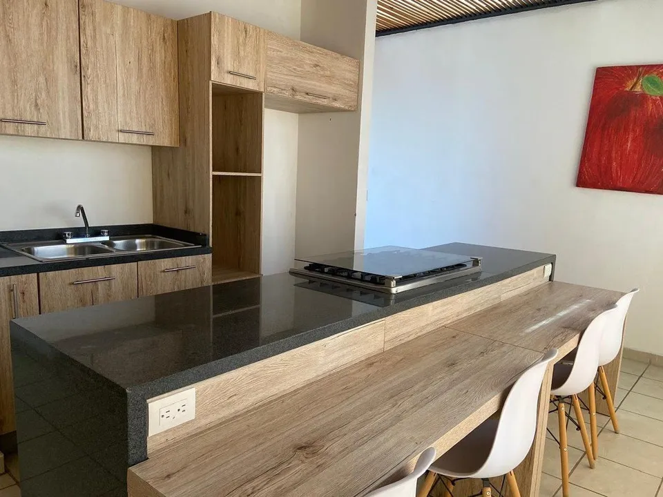 Foto 5 de Departamento en venta en Santa Tere