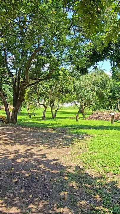Foto 7 de Terreno en renta en El Tapatío, Tlaquepaque