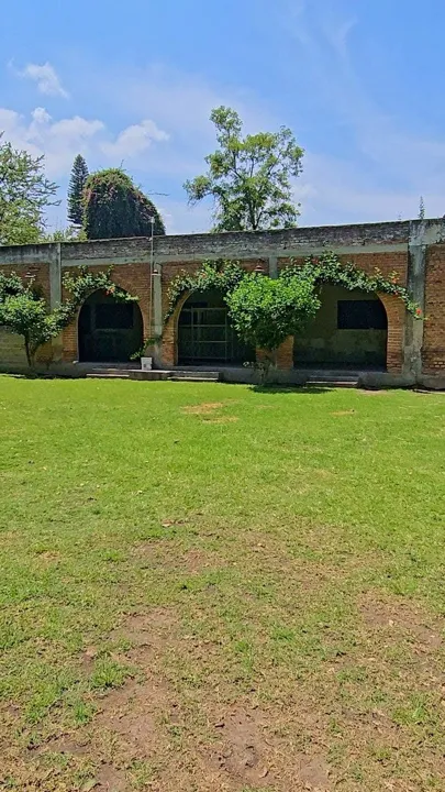 Foto 9 de Terreno en renta en El Tapatío, Tlaquepaque