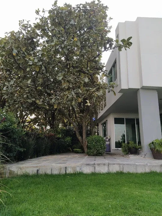 Foto 3 de Casa en VENTA 4 recámaras, 2 pisos en el Palomar