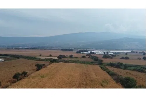 Foto 3 de Venta de Terreno en TLAJOMULCO EN COLONIA LOMAS DE TEJEDA