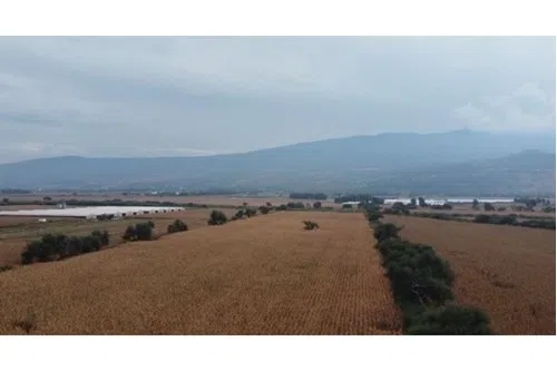 Foto 5 de Venta de Terreno en TLAJOMULCO EN COLONIA LOMAS DE TEJEDA