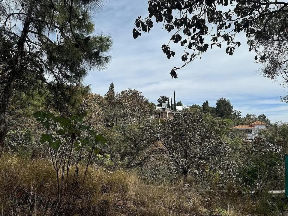 Foto 5 de SE VENDE HERMOSO TERRENO EN EL CIELO COUNTRY CLUB