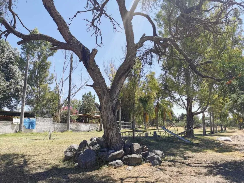 Foto 9 de Terreno en Venta en La Calera