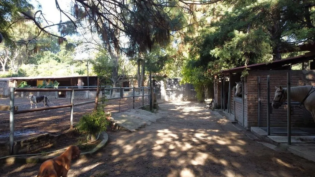 Foto 6 de Terreno en venta en Loma de los Alamos, lomas del bosque, Zapopan