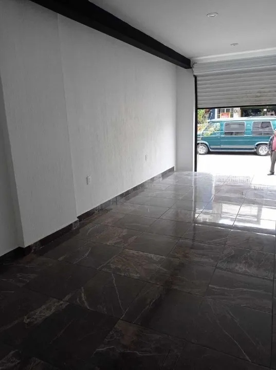 Foto 7 de Local Comercial en venta y renta en Calle Longinos Cadena, Lomas de Polanco, Guadalajara