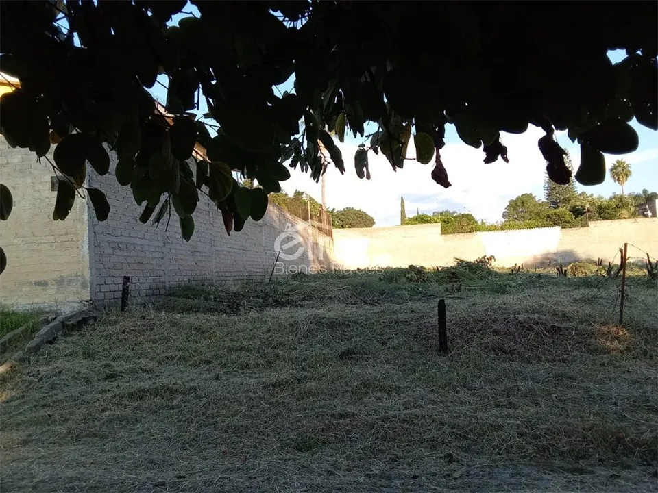 Foto 2 de Terreno en Venta en Fracc. Campestre Las Palomas, Zapopan, Jalisco.
