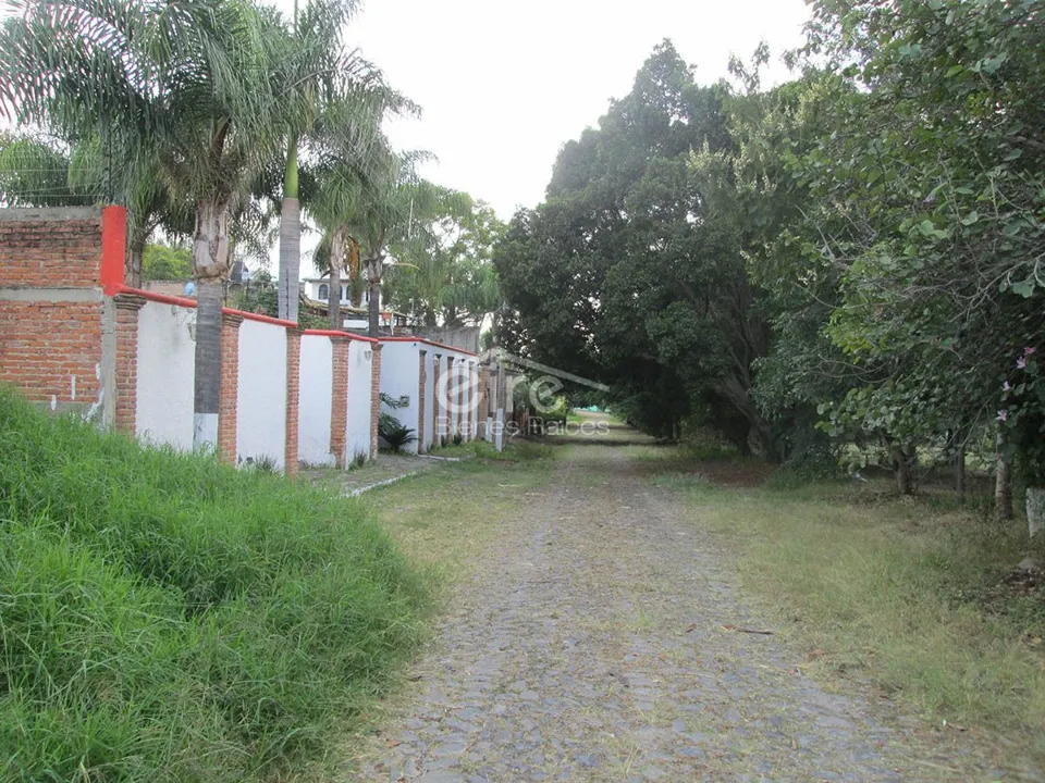 Foto 7 de Terreno en Venta en Fracc. Campestre Las Palomas, Zapopan, Jalisco.