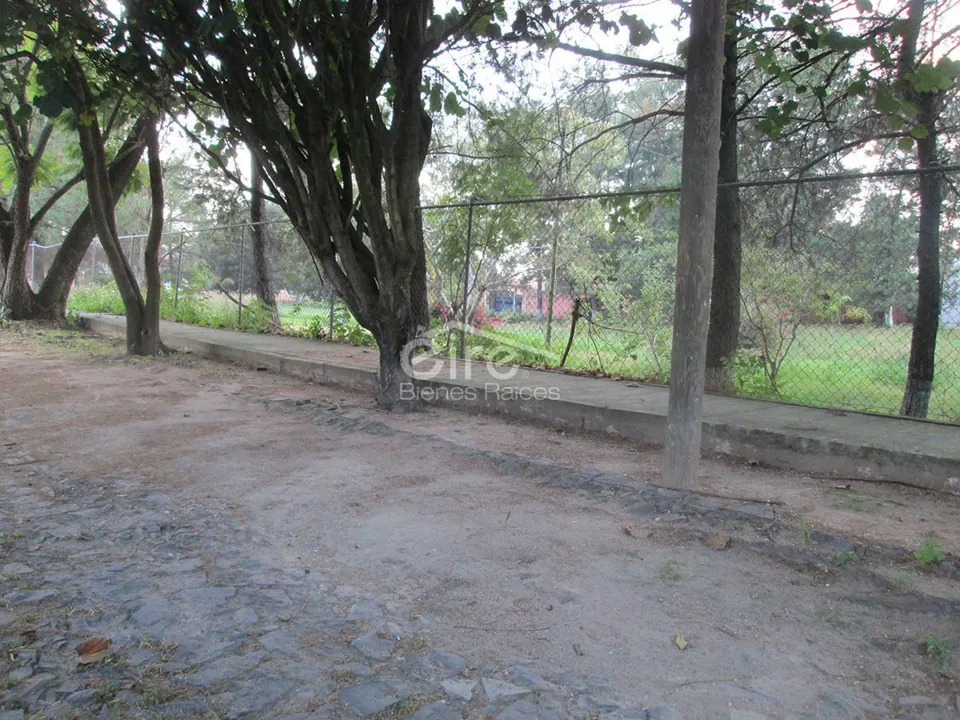 Foto 8 de Terreno en Venta en Fracc. Campestre Las Palomas, Zapopan, Jalisco.