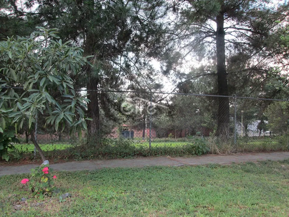 Foto 9 de Terreno en Venta en Fracc. Campestre Las Palomas, Zapopan, Jalisco.