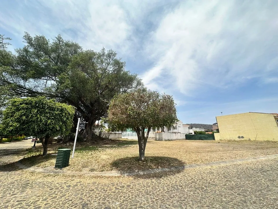 Terreno en Venta en Colinas de Santa Anita