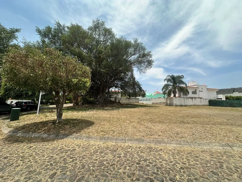 Foto 2 de Terreno en Venta en Colinas de Santa Anita