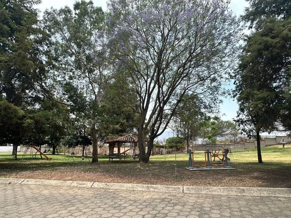 Foto 6 de Terreno en Venta en Colinas de Santa Anita