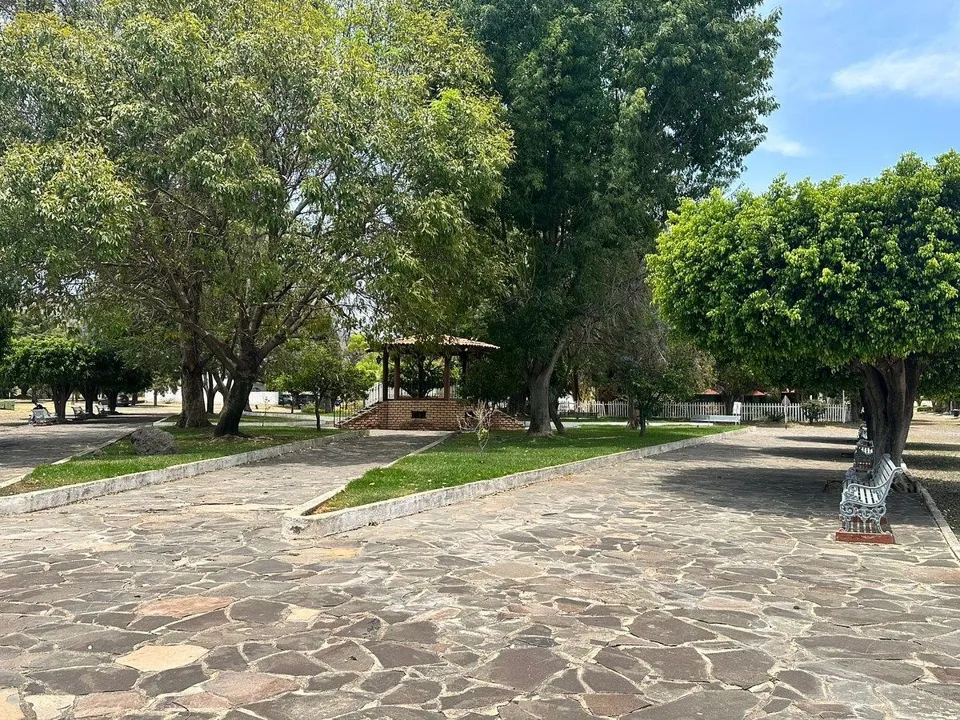 Foto 8 de Terreno en Venta en Colinas de Santa Anita