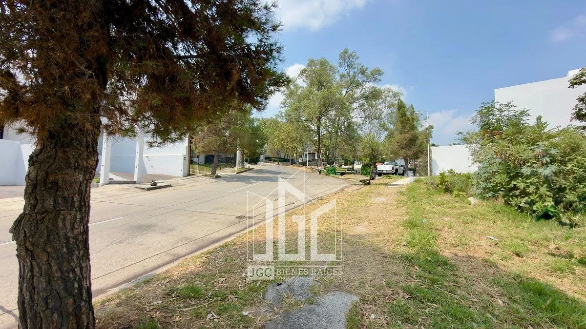 Foto 3 de TERRENO EN VENTA EN CIUDAD BUGAMBILIAS - AV. DEL RENO PTE