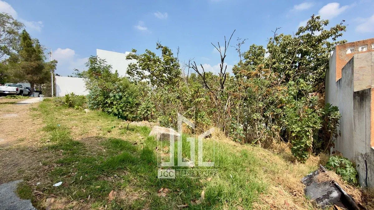 Foto 4 de TERRENO EN VENTA EN CIUDAD BUGAMBILIAS - AV. DEL RENO PTE