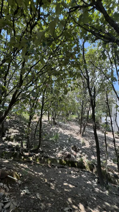 TERRENO EN VENTA DENTRO DE VILLA EN BUGAMBILIAS SEGUNDA SECCIÓN