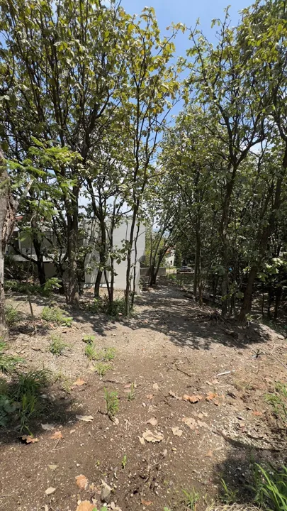 Foto 2 de TERRENO EN VENTA DENTRO DE VILLA EN BUGAMBILIAS SEGUNDA SECCIÓN
