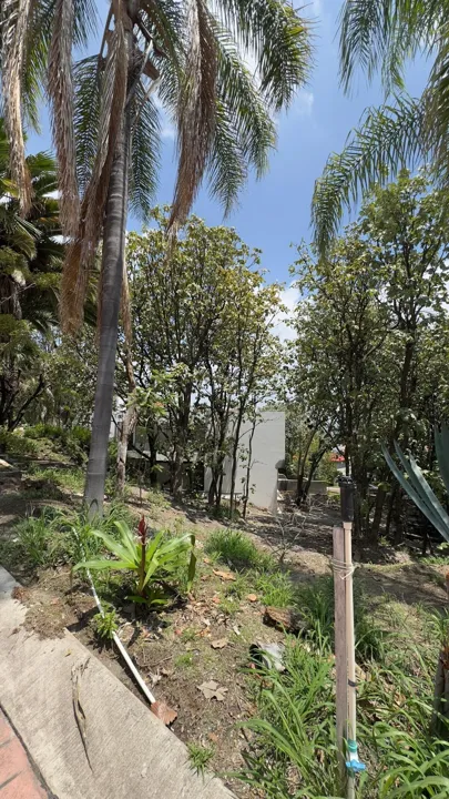 Foto 3 de TERRENO EN VENTA DENTRO DE VILLA EN BUGAMBILIAS SEGUNDA SECCIÓN