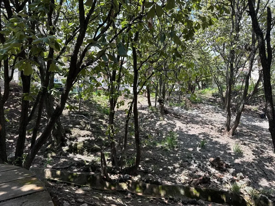 Foto 4 de TERRENO EN VENTA DENTRO DE VILLA EN BUGAMBILIAS SEGUNDA SECCIÓN