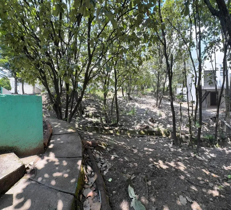 Foto 7 de TERRENO EN VENTA DENTRO DE VILLA EN BUGAMBILIAS SEGUNDA SECCIÓN