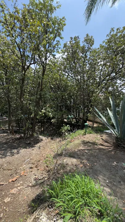 Foto 9 de TERRENO EN VENTA DENTRO DE VILLA EN BUGAMBILIAS SEGUNDA SECCIÓN