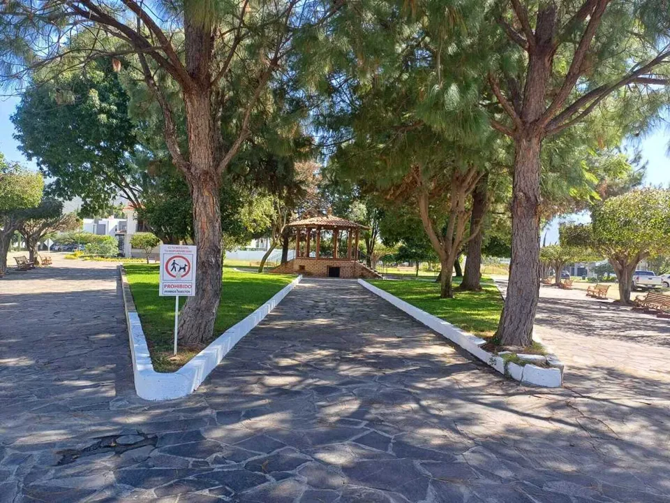 Terreno en Venta en Colinas de Santa Anita - La Alameda 10