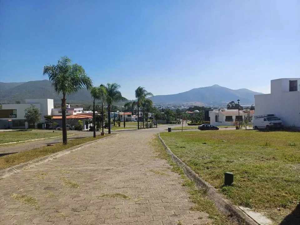 Foto 2 de Terreno en Venta en Colinas de Santa Anita - La Alameda 10