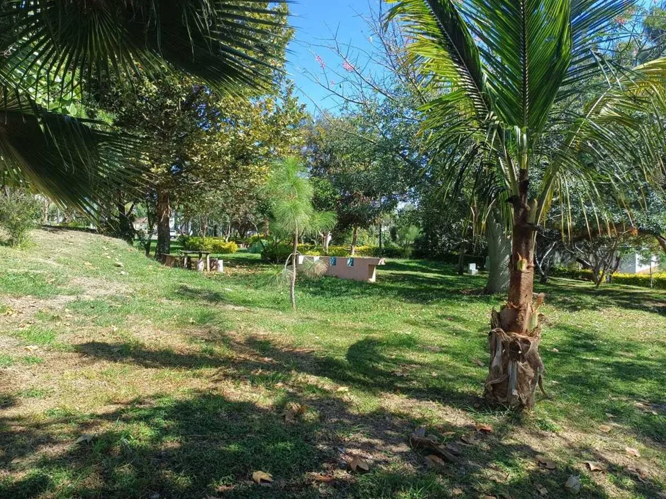 Foto 3 de Terreno en Venta en Colinas de Santa Anita - La Alameda 10