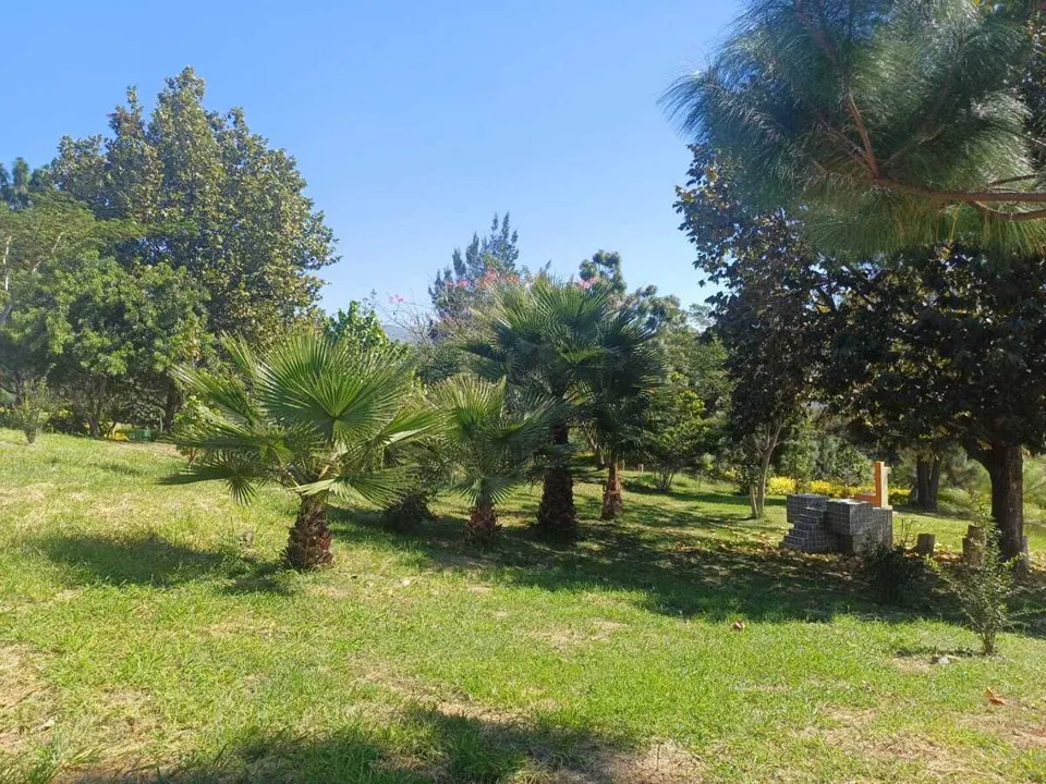 Foto 4 de Terreno en Venta en Colinas de Santa Anita - La Alameda 10