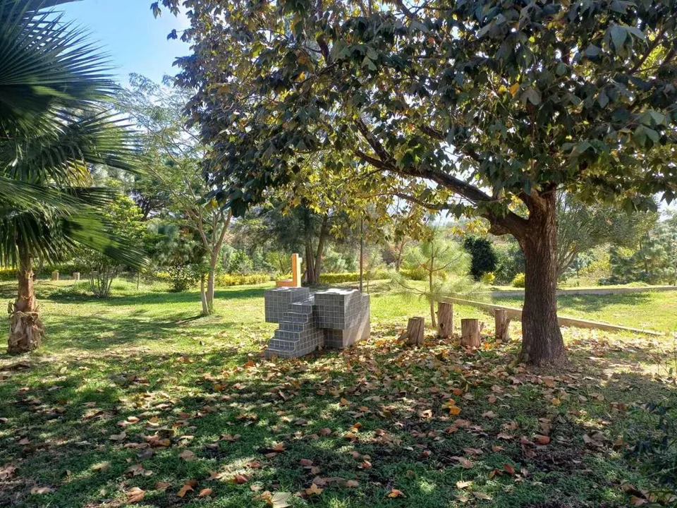 Foto 5 de Terreno en Venta en Colinas de Santa Anita - La Alameda 10