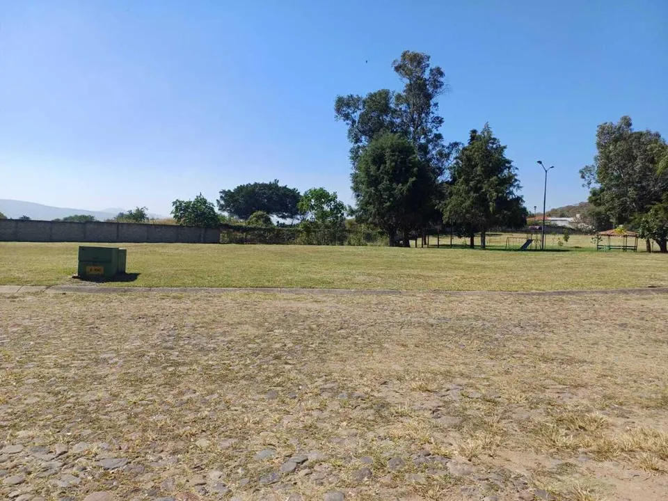 Foto 8 de Terreno en Venta en Colinas de Santa Anita - La Alameda 10
