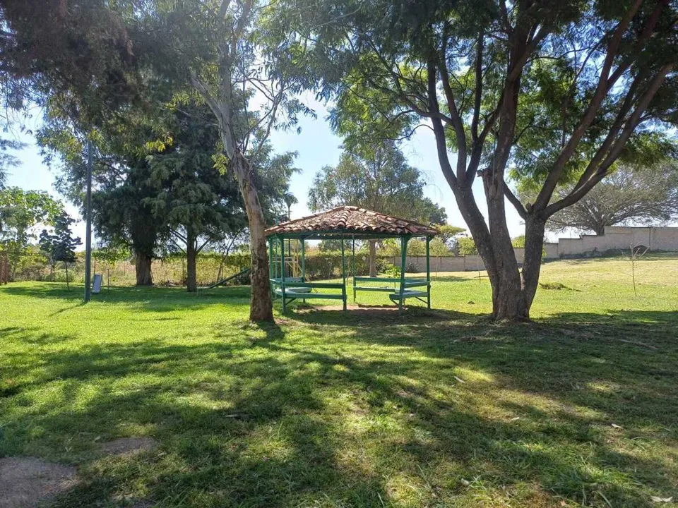 Foto 9 de Terreno en Venta en Colinas de Santa Anita - La Alameda 10