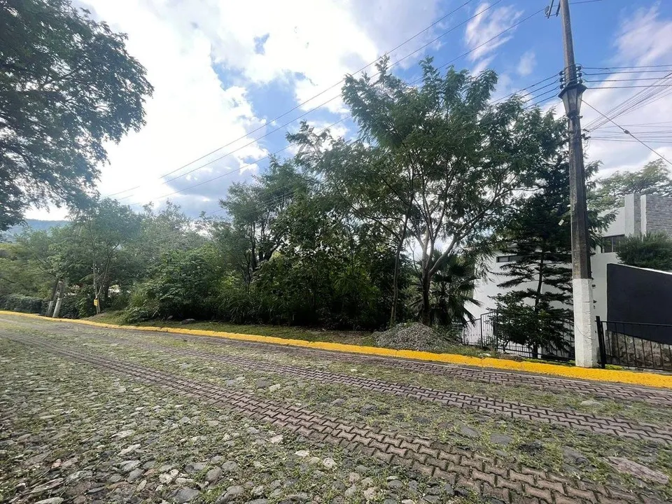 Foto 2 de venta