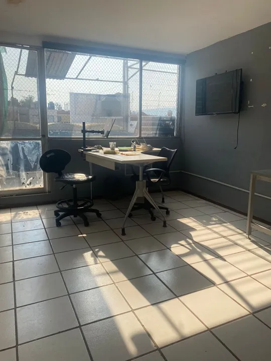 Foto 6 de PROPIEDAD CON LOCAL Y DEPARTAMENTO EN VENTA EN LAS AGUILAS