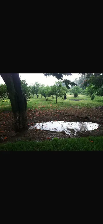 Foto 7 de Venta Terreno calle Doctores 945 Lomas de Tesistan Zapopan jalisco