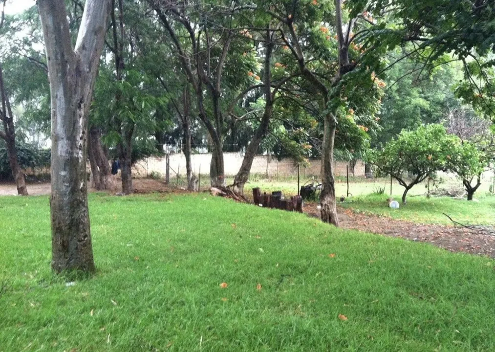 Foto 9 de Venta Terreno calle Doctores 945 Lomas de Tesistan Zapopan jalisco