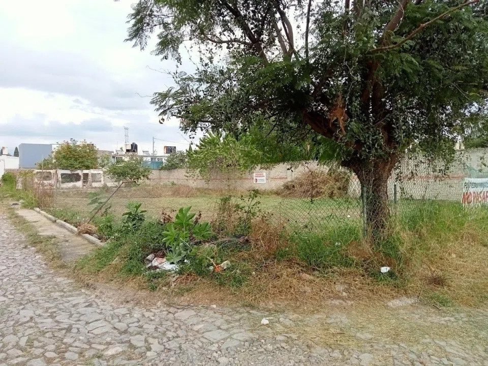 Foto 2 de Terreno en Venta en Esquina Bosques del Centinela Zapopan Uso Mixto MV4