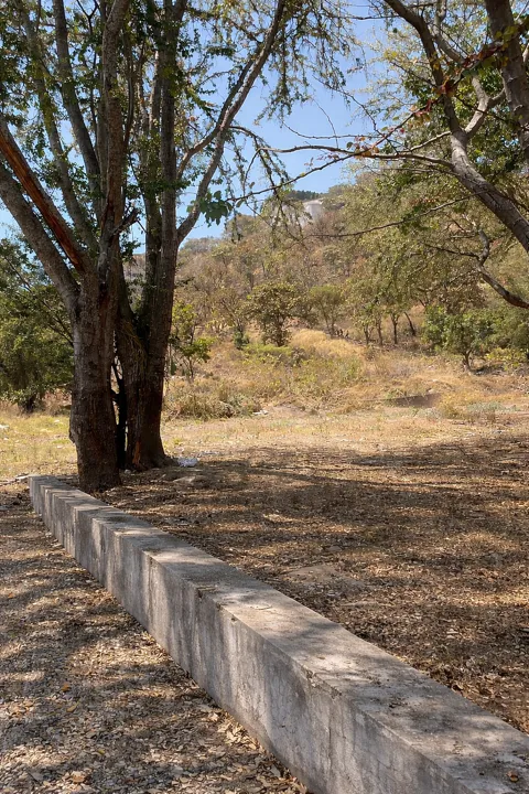 Foto 2 de Terreno con uso de suelo mixto en venta, Santa Ana Tepetitlán, Zapopan | RTV-230
