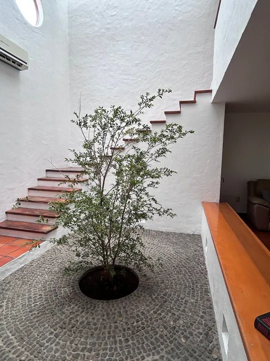 Foto 3 de ACOGEDORA CASA EN EL SUR