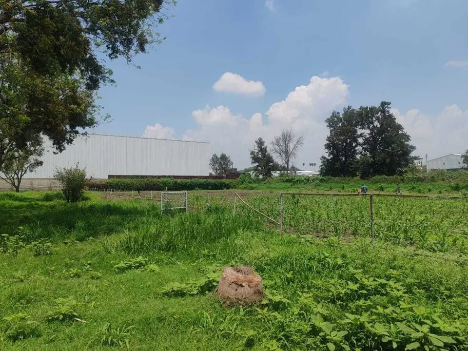 Foto 7 de TERRENO / RANCHO EN VENTA JARDINES DE LA CALERA