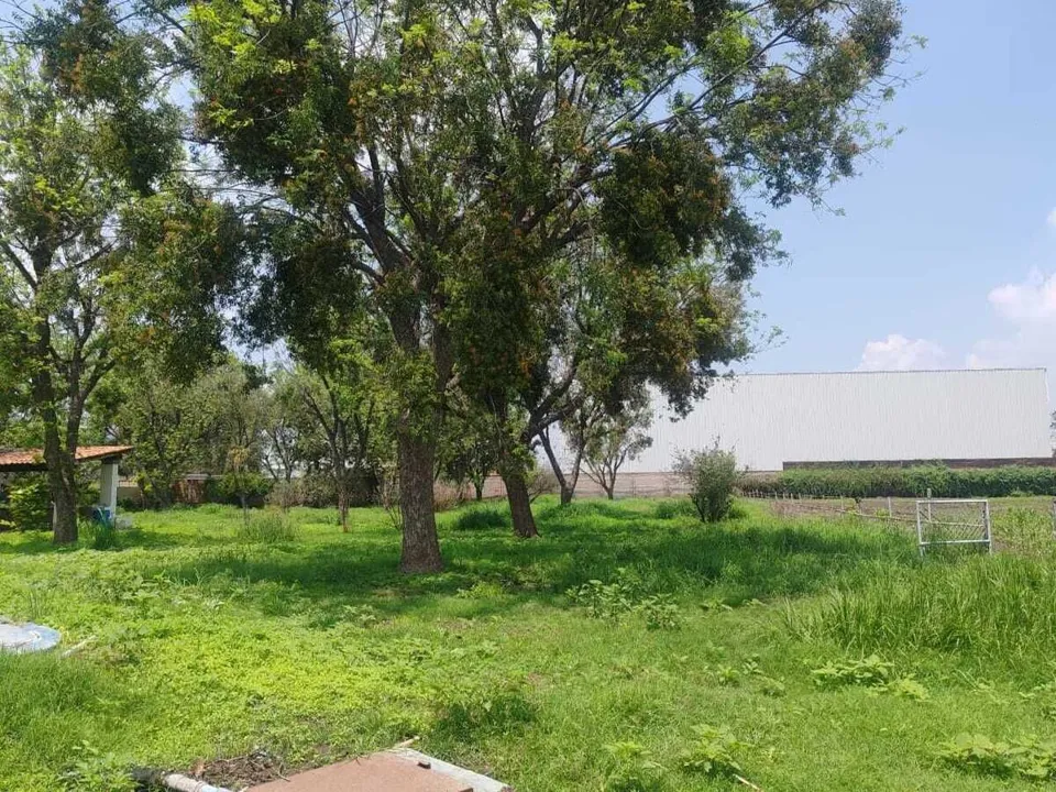 Foto 8 de TERRENO / RANCHO EN VENTA JARDINES DE LA CALERA