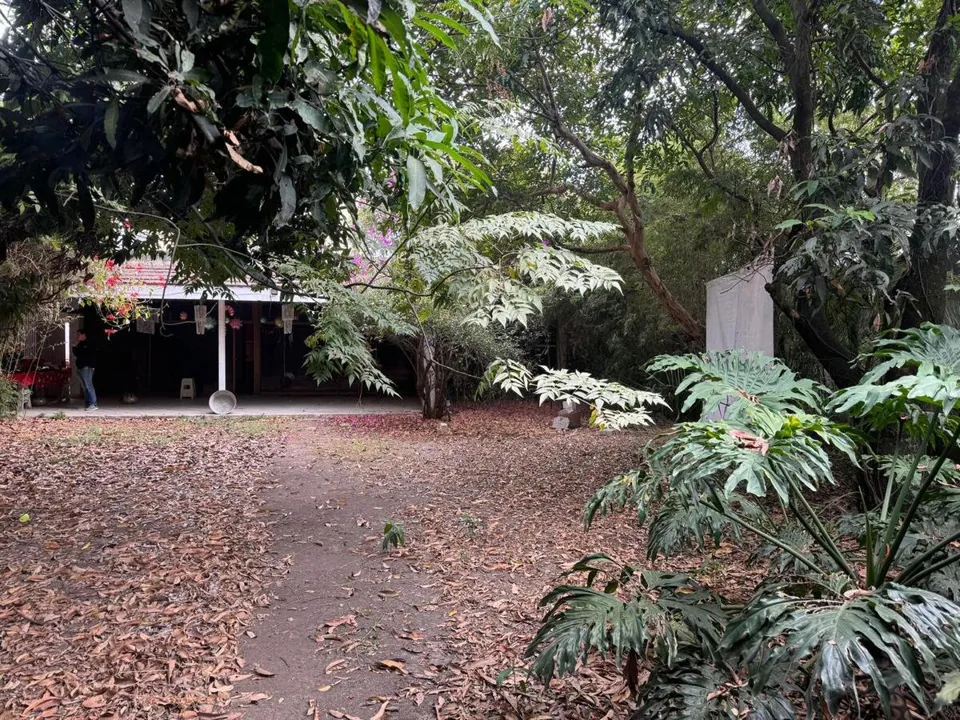 Terreno en Venta en Chapalita - 12 de diciembre 217